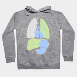 Internal Organs Street Map Hoodie